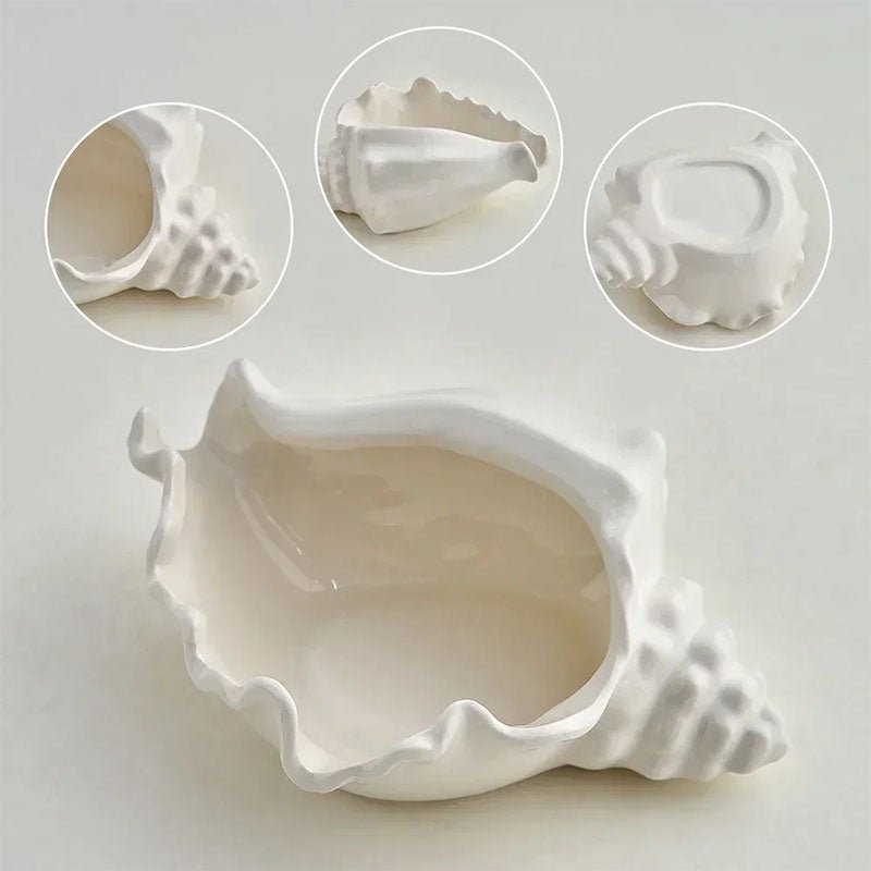 Conch Shell Storage Vessel - Image 6