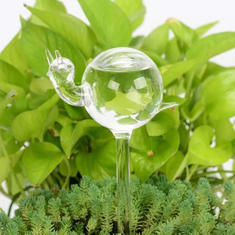 Self-Watering Glass Plant Vessels - Image 11