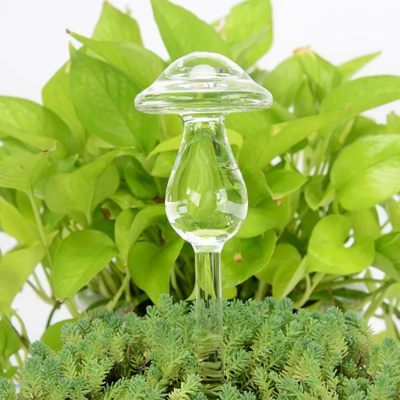 Self-Watering Glass Plant Vessels - Image 15