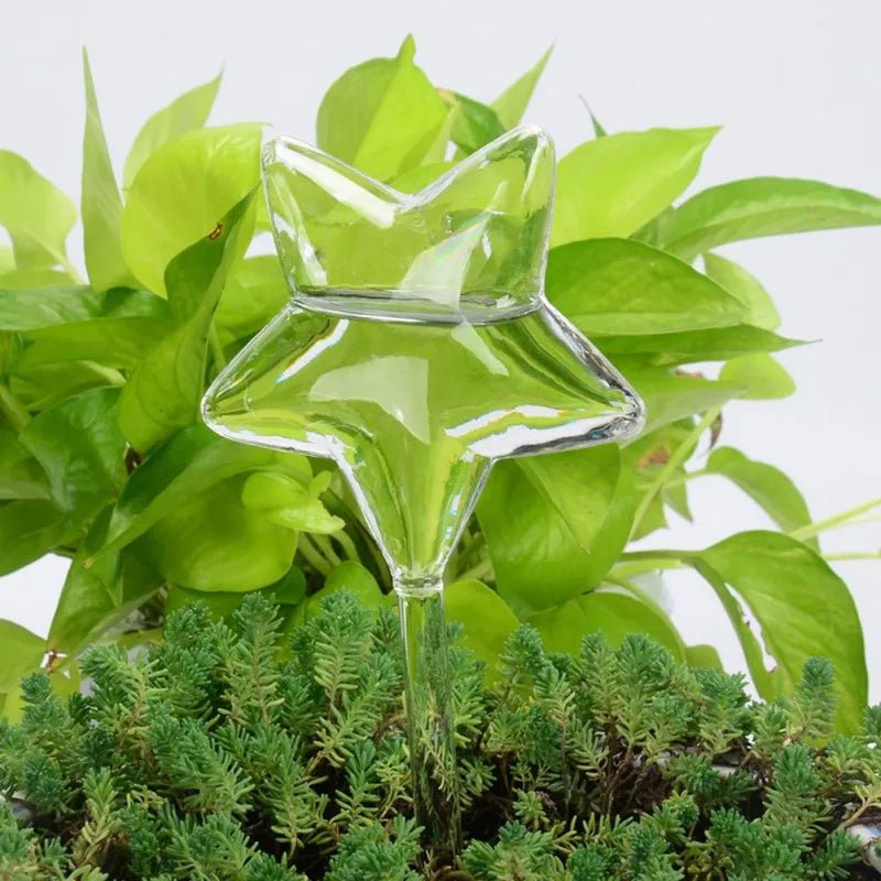 Self-Watering Glass Plant Vessels - Image 13