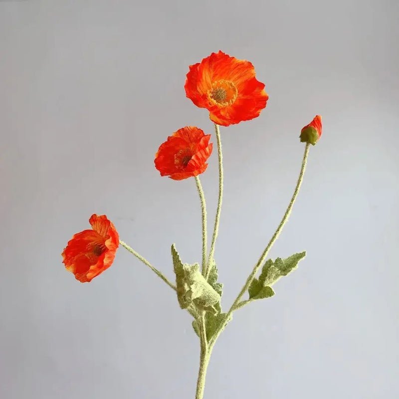 Faux Poppy Stems, Set of 6 - Image 41