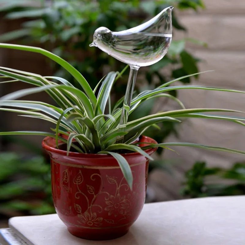 Self-Watering Glass Plant Vessels - Image 10