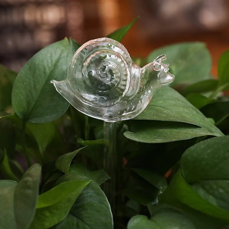 Self-Watering Glass Plant Vessels - Image 7