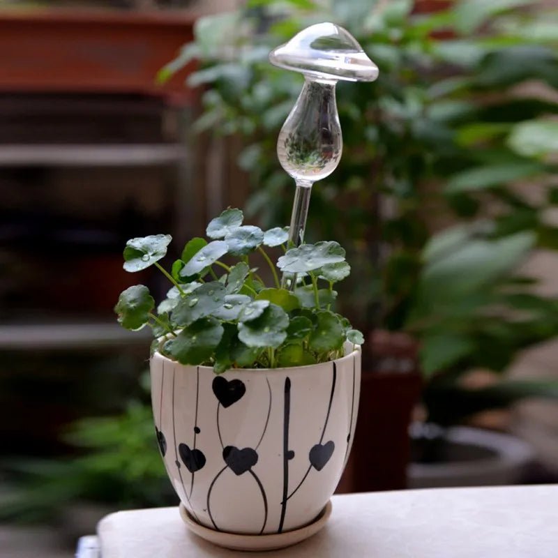 Self-Watering Glass Plant Vessels - Image 2