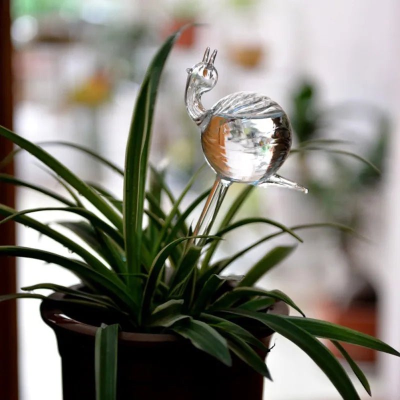 Self-Watering Glass Plant Vessels - Image 12