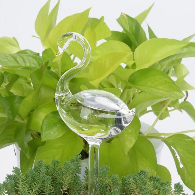 Self-Watering Glass Plant Vessels - Image 18