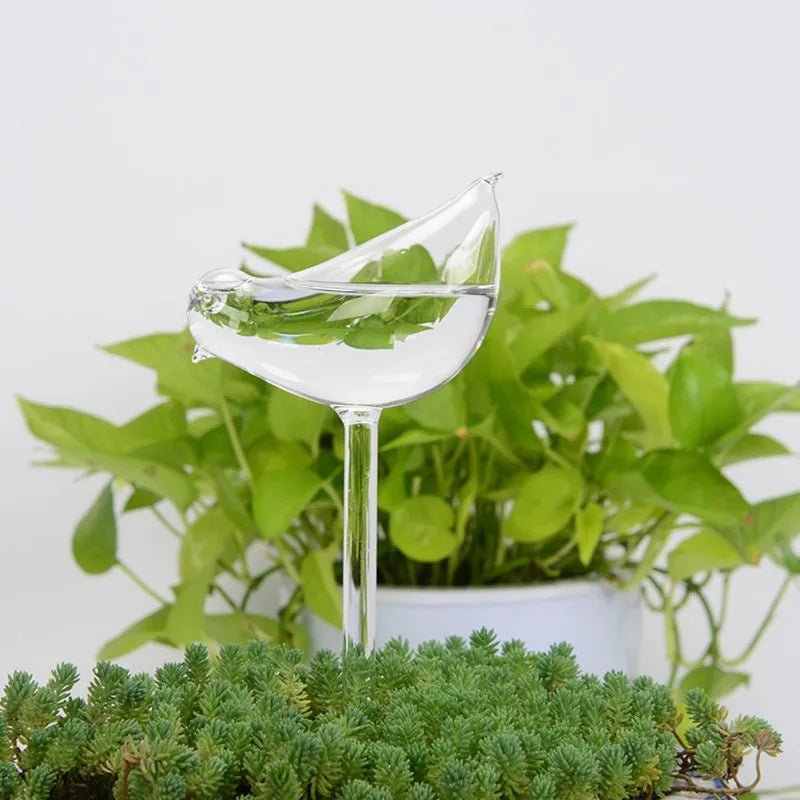 Self-Watering Glass Plant Vessels - Image 9