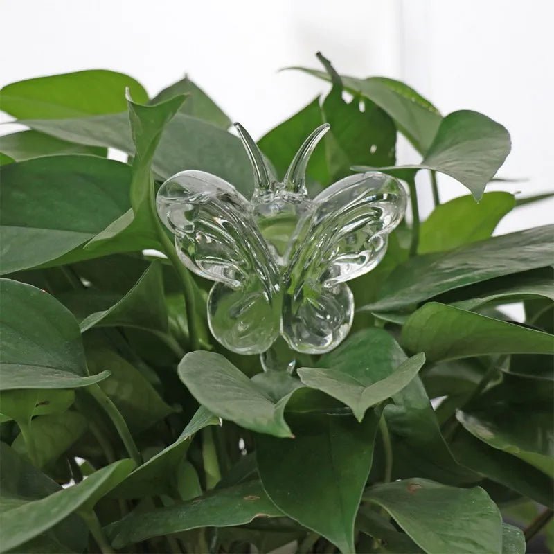 Self-Watering Glass Plant Vessels - Image 8