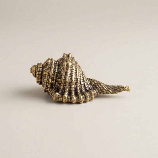 Brass Seashell