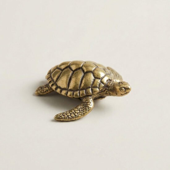 Brass Turtle