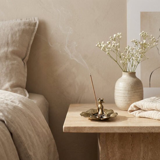 Zen Brass Incense Frog